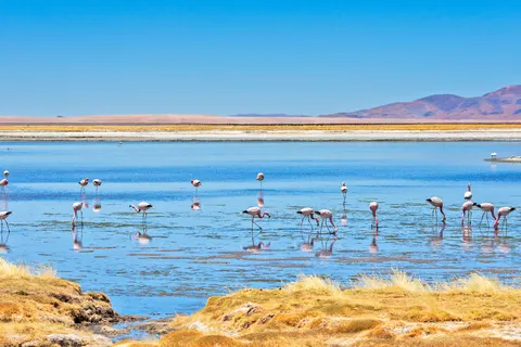 Beautiful Chile and Easter Island foto 3