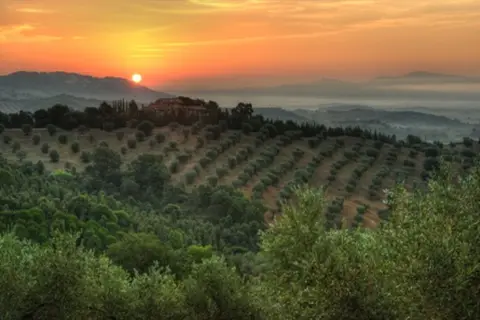 Montebelli Agriturismo & Country Hotel in Gavorrano — foto 15