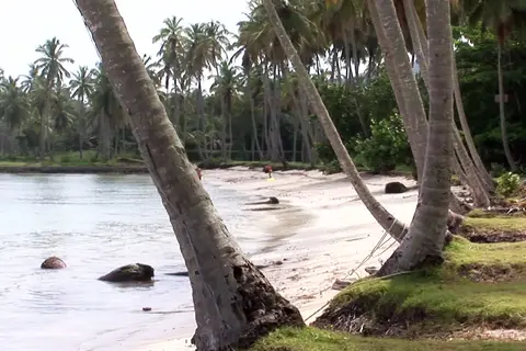 Wyndham Alltra Samana in Santa Bárbara de Samaná — foto 27