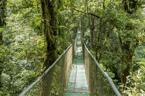 Discover Unique Costa Rica foto 2