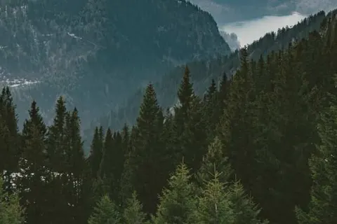 PRIMERA Apartments foto 22