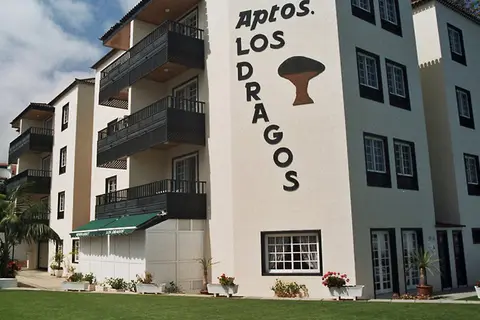 Dragos del Norte in Puerto De La Cruz — foto 8