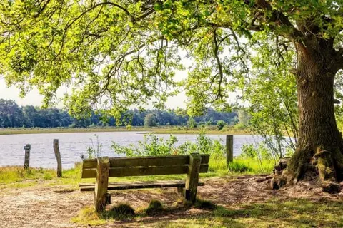 Hofparken De Bergvennen in Lattrop-Breklenkamp — foto 16