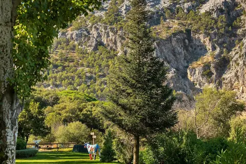 Fuerte Grazalema in Grazalema — foto 23