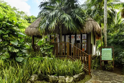 The Reef Playacar Beach Resort & Spa in Playa del Carmen — foto 24