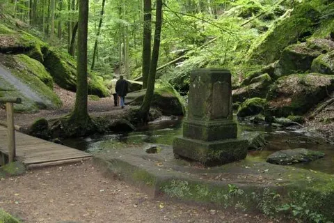 Landgasthof en Hotel Zum Schwan foto 17