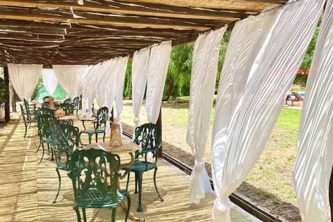 Llucatx Menorca foto 20