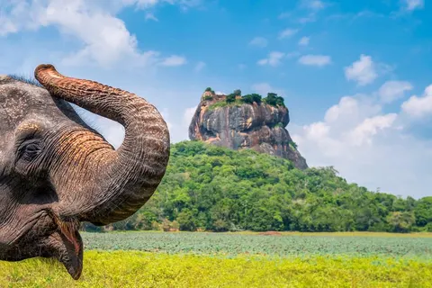 15-daagse familierondreis Sri Lanka foto 1