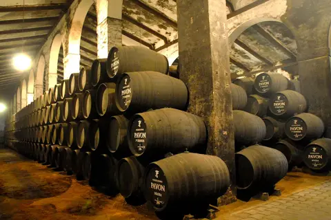 ALEGRIA Bodega Real in El Puerto de Santa María — foto 30