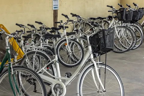 Camping Les Catalpas De Royan foto 7