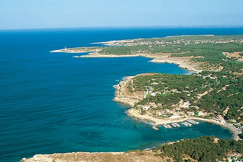 Camping Le Mas foto 11