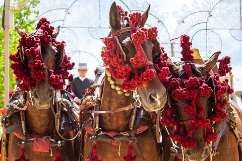 Authentiek Andalusië foto 3