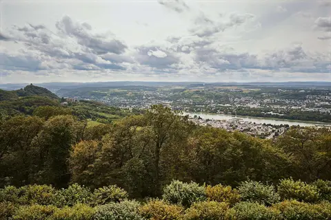 Steigenberger Icon Grandhotel & Spa Petersberg in Königswinter — foto 11