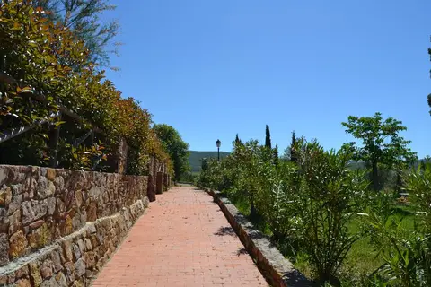 Antico Borgo Casalappi in Campiglia Marittima — foto 28
