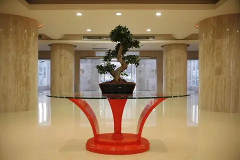 Maris Sol Sun Palace Hotel in Faliraki — foto 18