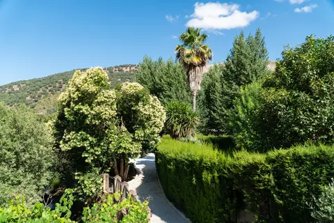 Molino del Santo in Benaoján — foto 18