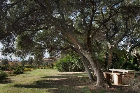 Parco Degli Ulivi in Alzachèna/Arzachena — foto 5