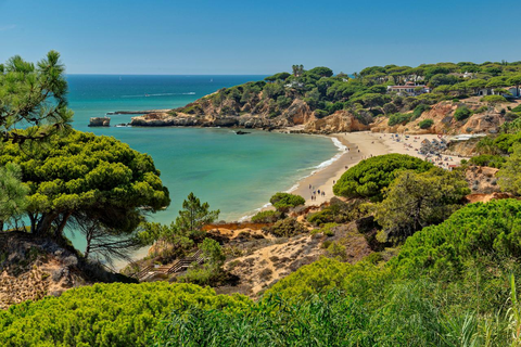 Appartementen Alfagar Village foto 24