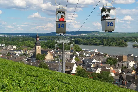 Hotel Felsenkeller in Rüdesheim am Rhein — foto 4