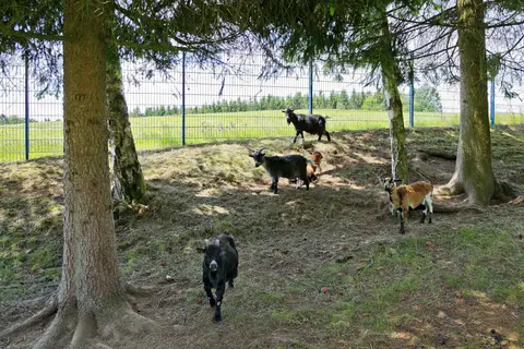 Knaus Campingpark Lackenhäuser in Neureichenau — foto 16
