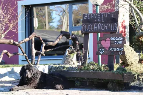 Hotel Cuccaro Club foto 3