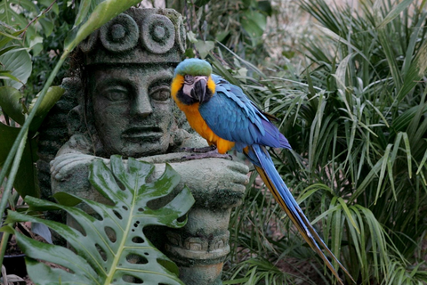 Hotel Magic Natura foto 21