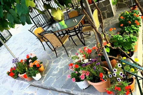Ziogas Luxury Apartments in Ύψος — foto 11