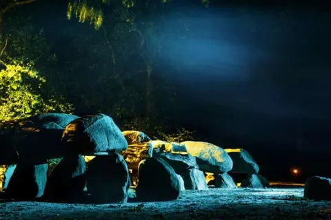 De Bonte Wever foto 44