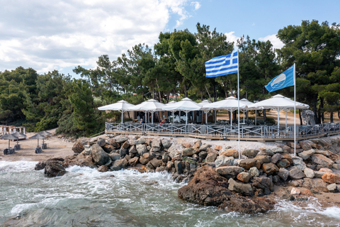 Hotel Blue Dolphin foto 6