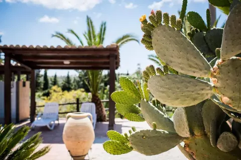 Agriturismo Vecchia Masseria foto 9