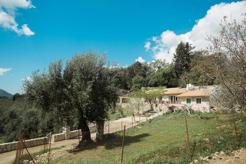 Villa Panorea foto 3