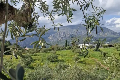 Villa Bellido in Álora — foto 12