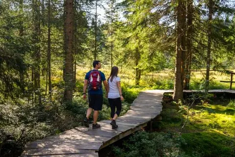 Naturparkhotel Schwarzwaldhaus Bernau foto 20