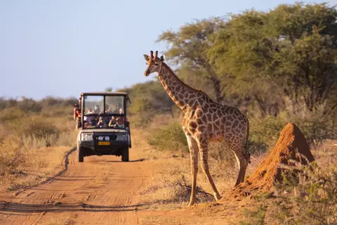 Tanzania op het gemak in Tanzania, foto 2