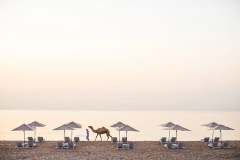InterContinental Fujairah Resort in Al Aqah - العقة — foto 5