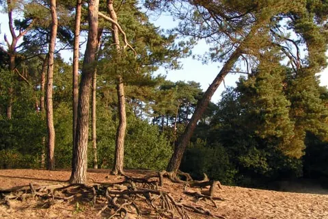 De Oringer Marke & Stee Hotels by Flow foto 26