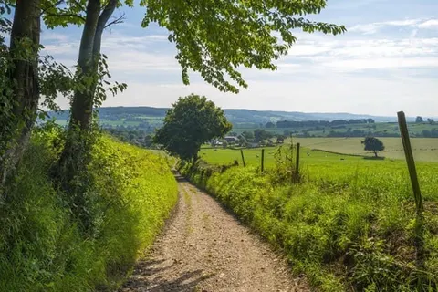 Landgoed Kasteel Daelenbroeck foto 22