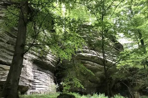 Gasthaus Geimer foto 15