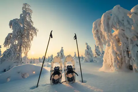 5-daags Winteravontuur Levi in Fins Lapland — foto 3