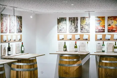 Hotel Austria Gourmet & Wine in Sölden, foto 7