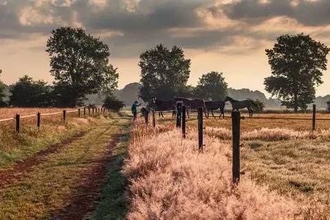 B&B de Wilhelminaschool foto 22