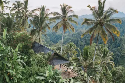 Buahan A Banyan Tree Escape in Payangan — foto 15