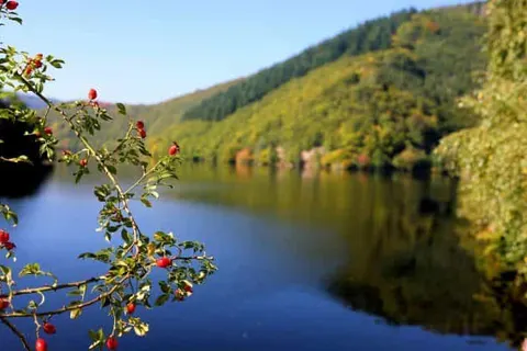 Hotel Seemöwe Eifel foto 19