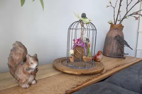 Bed and Breakfast Het Vinkenest foto 12