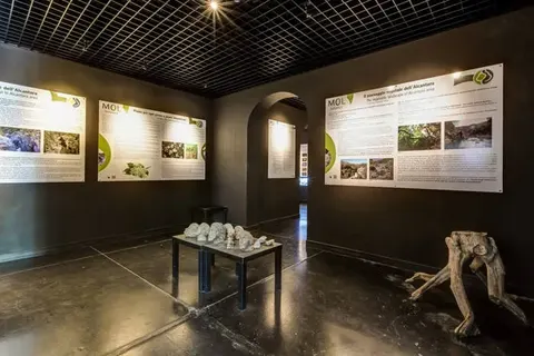 Glamping Alcantara foto 6