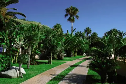 Cala Di Volpe in Ricadi — foto 24