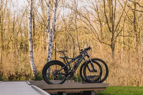 Vakantiepark Woodz Lodges in Heusden — foto 8