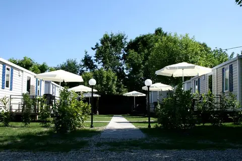 Rose in Dormelletto — foto 2
