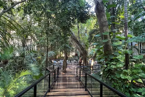 The Reef Playacar Beach Resort & Spa in Playa del Carmen, foto 20