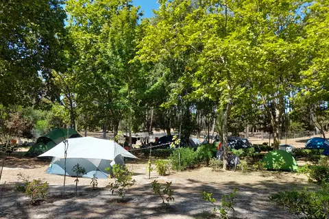 Caminha in Caminha (Matriz) e Vilarelho — foto 13